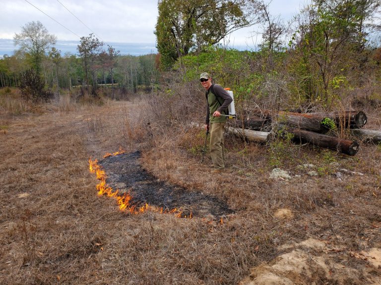 Applying fire to landscape