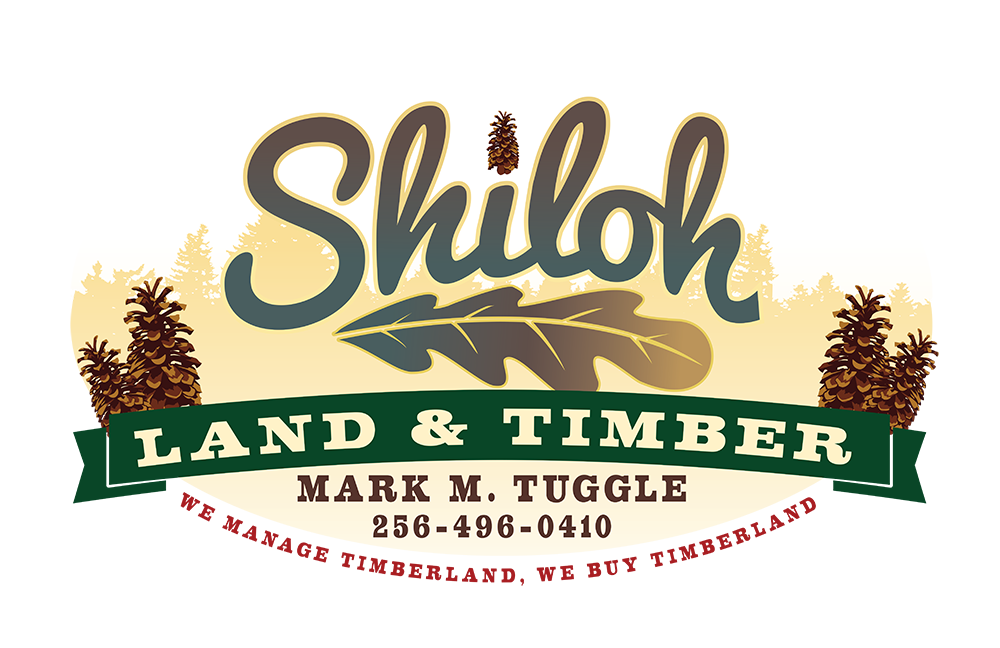 Shiloh Land Timber logo